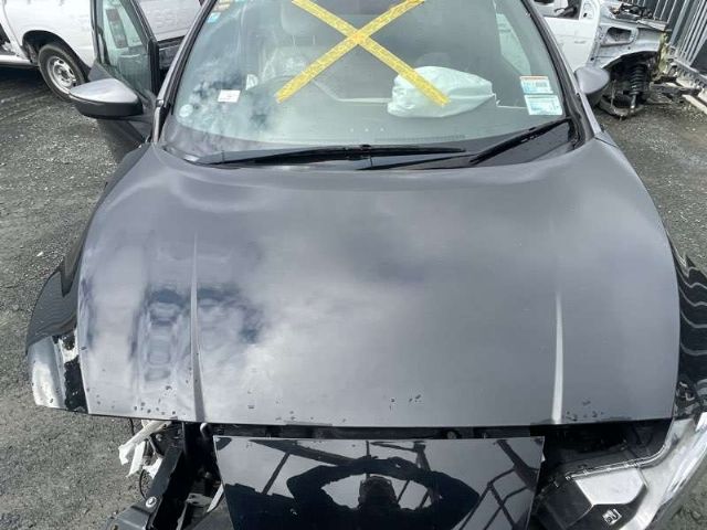 Bonnet