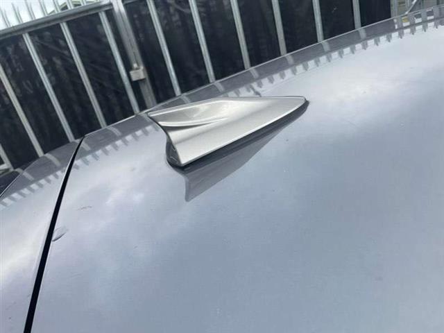 Shark Fin Antenna
