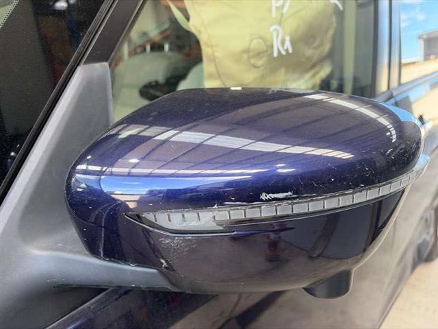 Lf Door Elec Mirror (13 Wire)