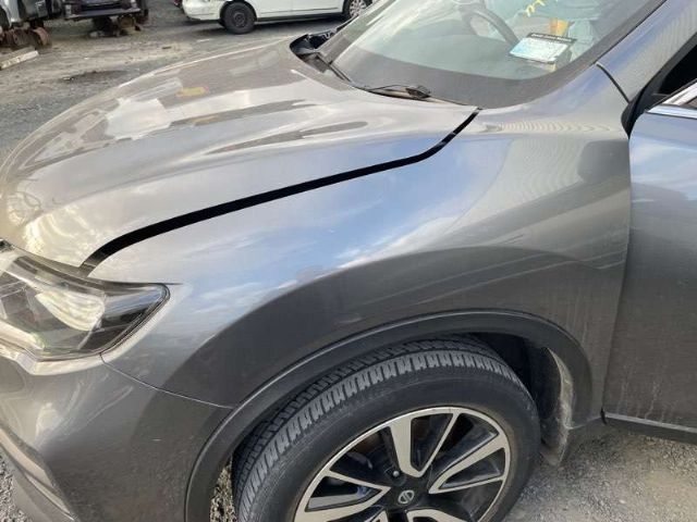 Lf Guard/fender
