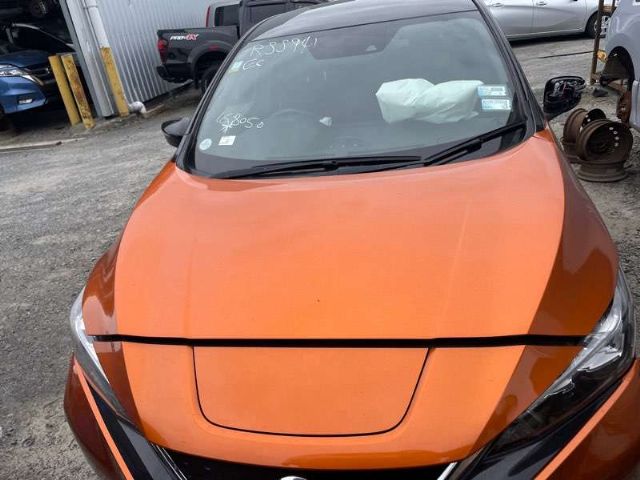 Bonnet