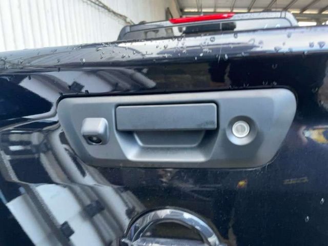 Tailgate Handle Outer