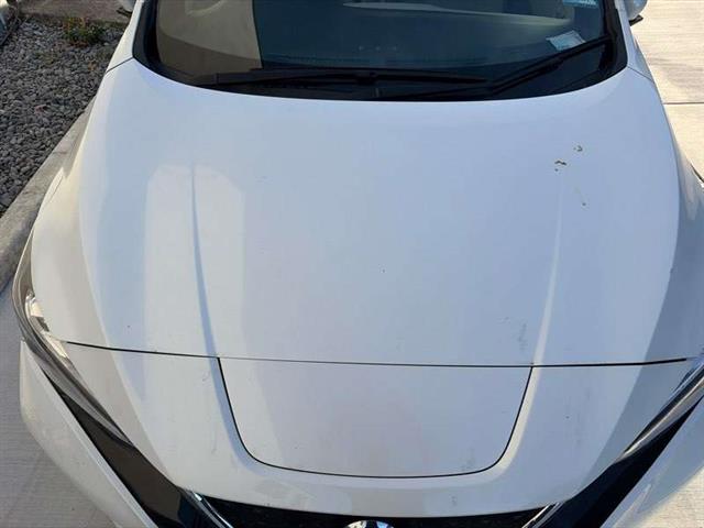 Bonnet