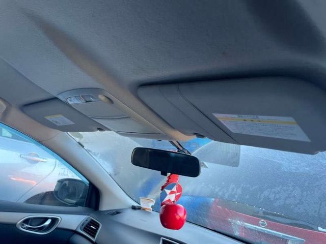 Lh Sunvisor