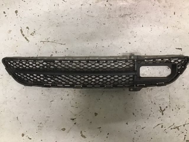 Front Bumper Grille Lower