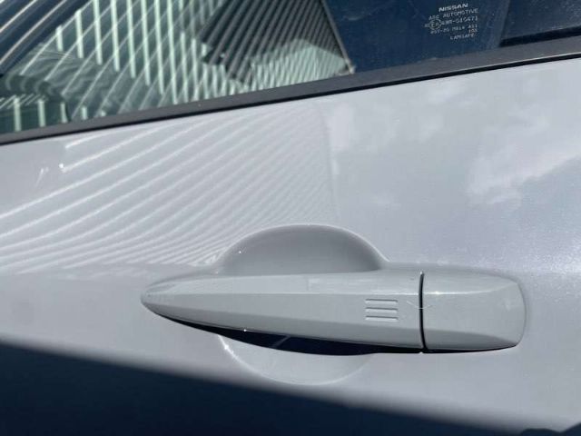Lf Door Exterior Handle (smart Button) Type