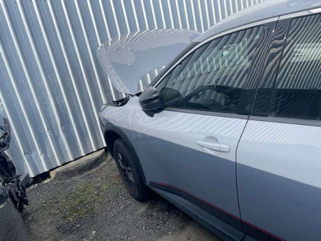 Lf Door Shell
