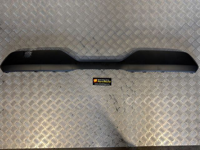 Rear Bumper Moulding