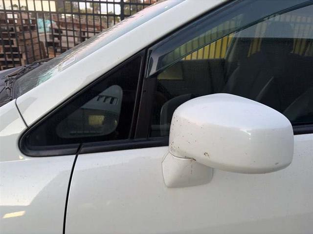 Lf Door Elec Mirror (5 Wire)