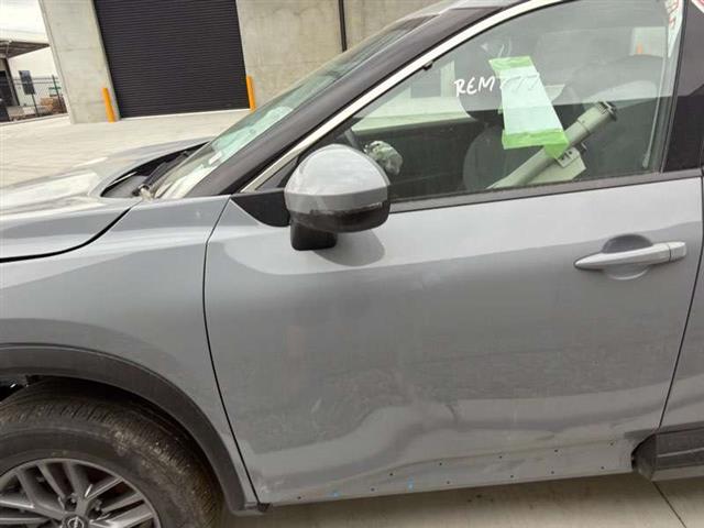 Lf Door Shell