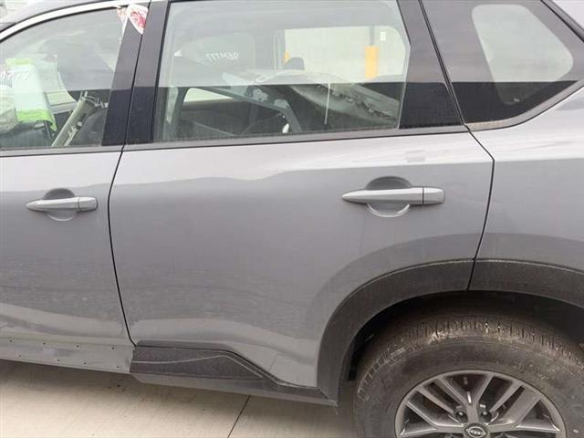 Lr Door Shell
