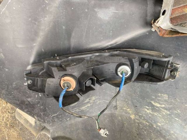 Lr Bumper Light