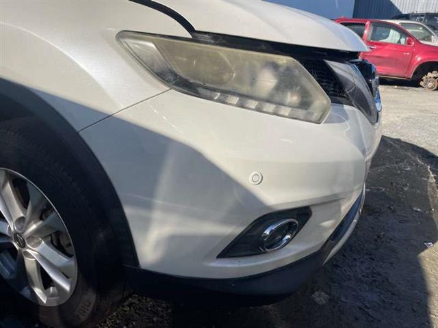 Nose Cut (spec 2)