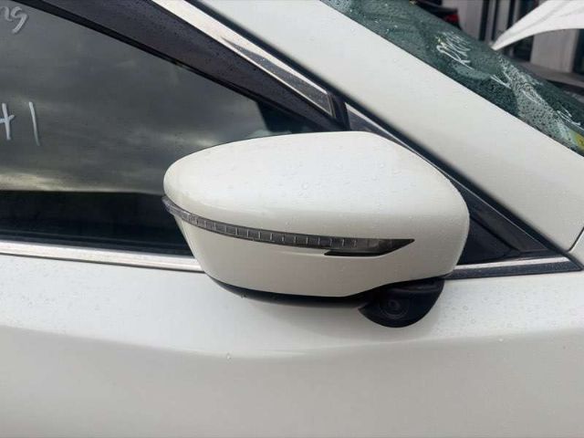 Rf Door Elec Mirror (9 Wire)
