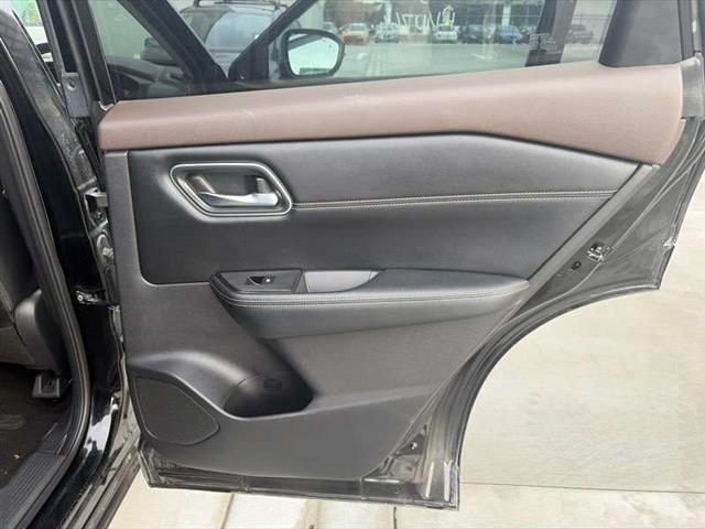 Rr Door Trim Elec