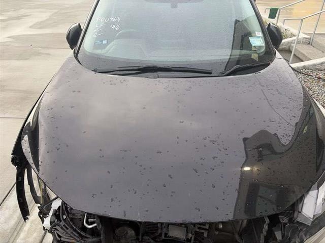 Bonnet
