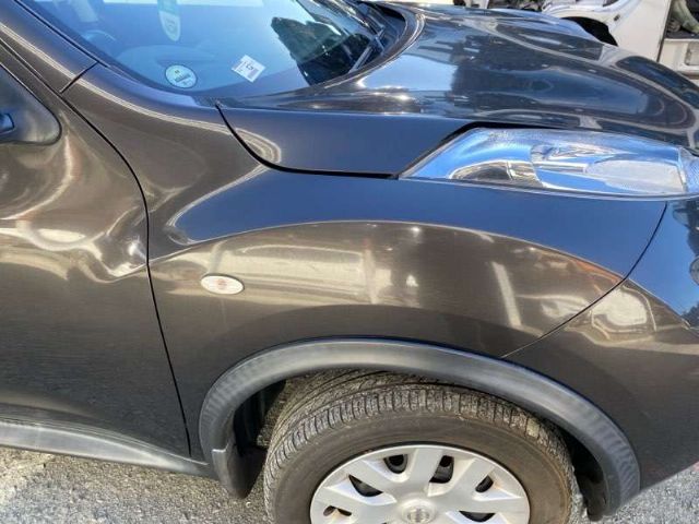 Rf Guard/fender