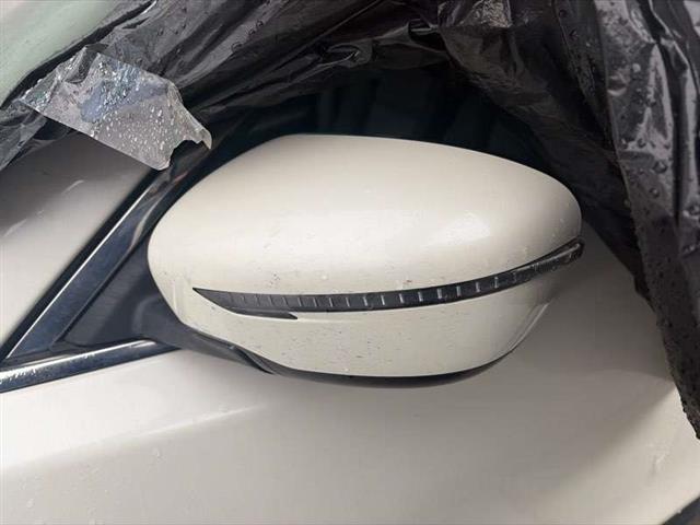 Lf Door Elec Mirror (7 Wire)
