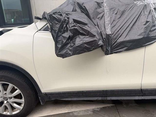 Lf Door Shell