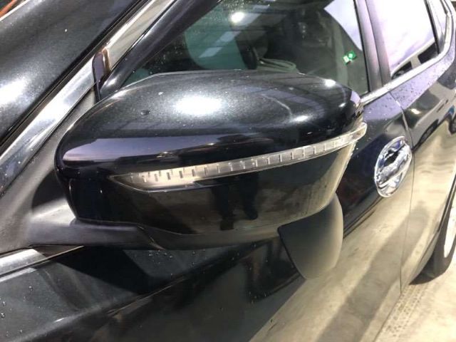 Lf Door Elec Mirror (9 Wire)