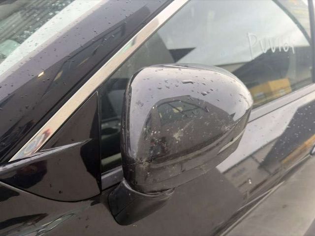 Lf Door Elec Mirror (10 Wire)