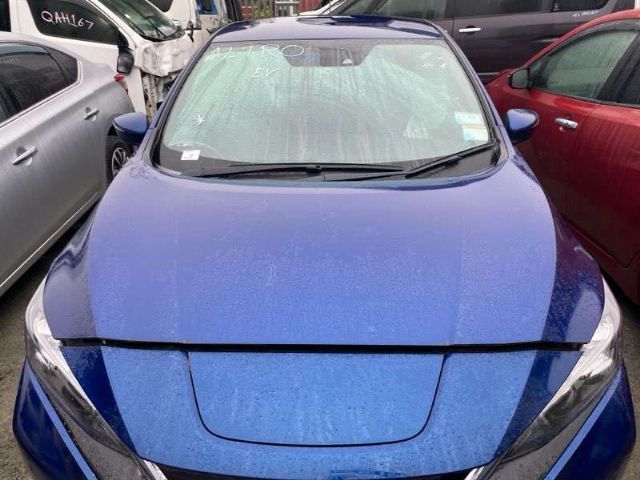 Bonnet