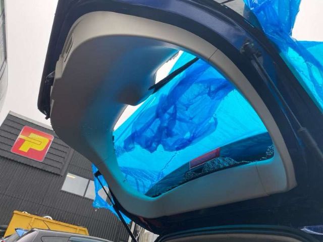 Tailgate Inner Trim