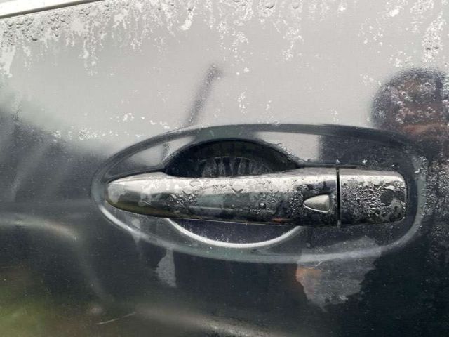 Lf Door Exterior Handle (smart Button) Type