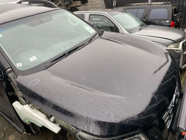 Bonnet