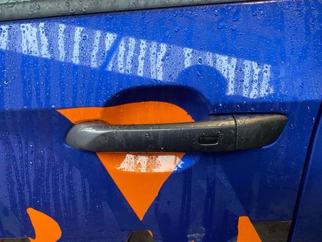 Lf Door Exterior Handle (smart Button) Type