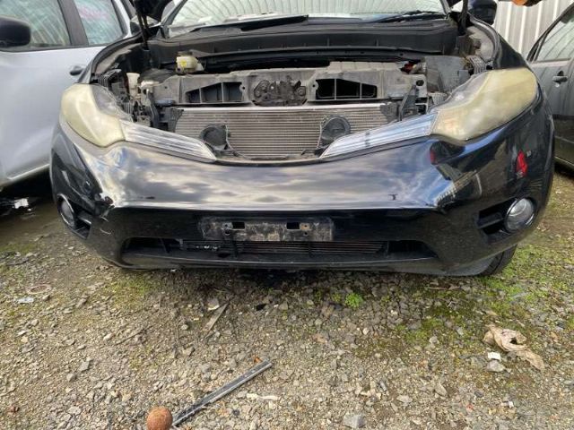 Nose Cut