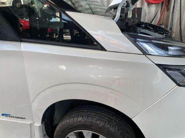 Rf Guard/fender