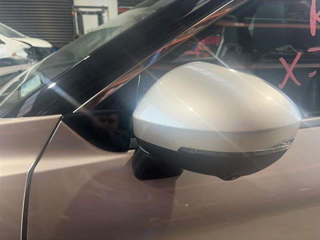 Lf Door Elec Mirror (13 Wire)