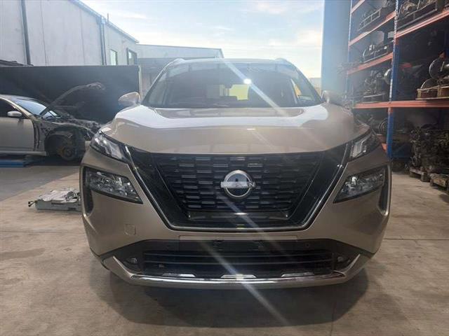 Nose Cut (spec 2)
