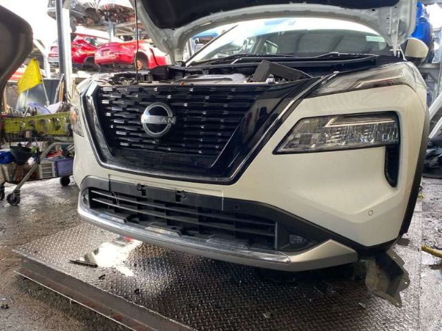 Nose Cut