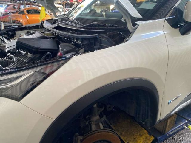 Lf Guard/fender