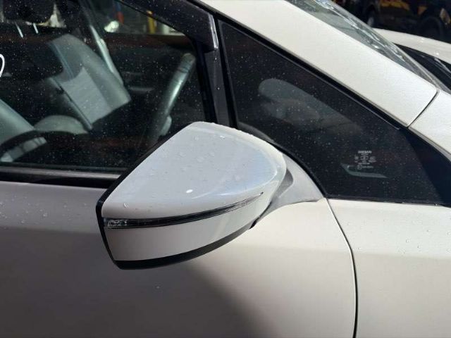 Rf Door Elec Mirror (7 Wire)