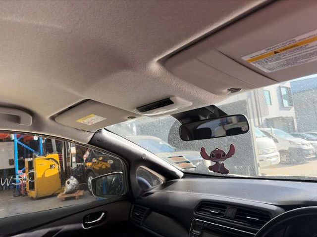 Lh Sunvisor