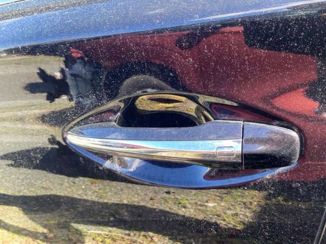 Lf Door Exterior Handle (smart Button) Type