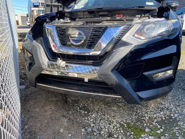 Nose Cut (spec 3)