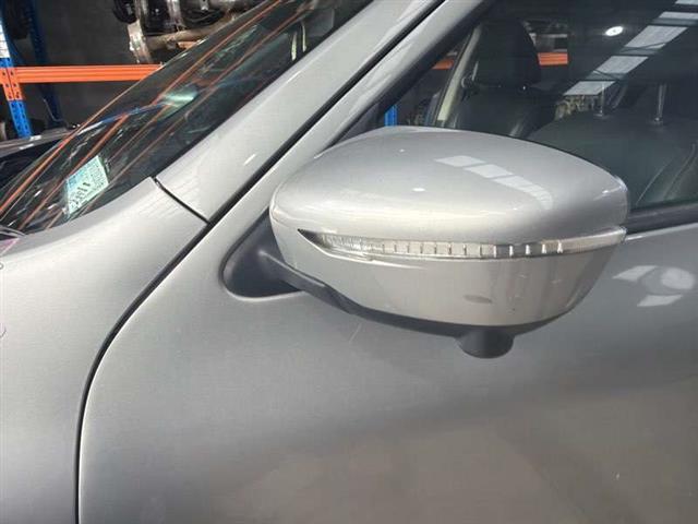 Lf Door Elec Mirror (13 Wire)