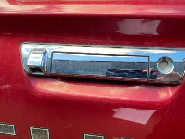 Tailgate Handle Outer