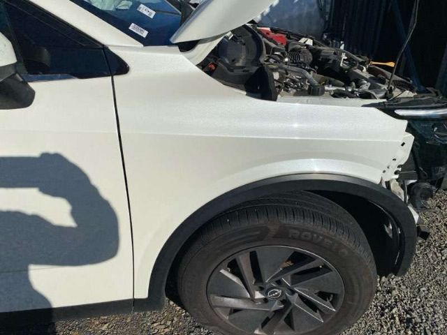 Rf Guard/fender