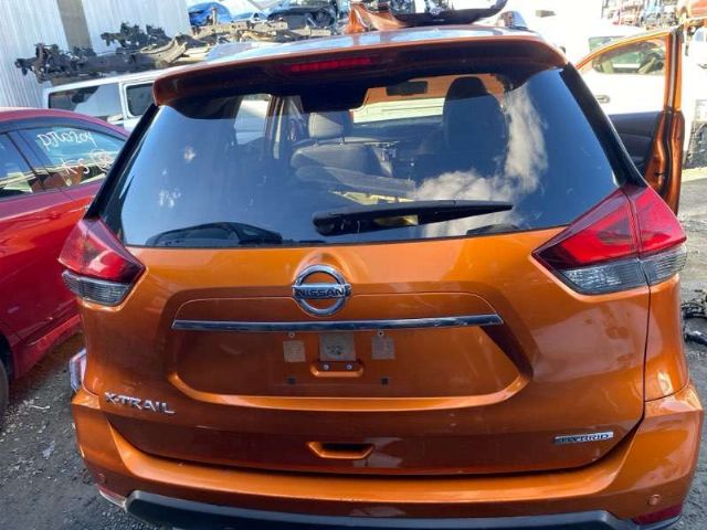 Tailgate Shell