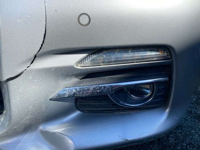 Lf Bumper Light