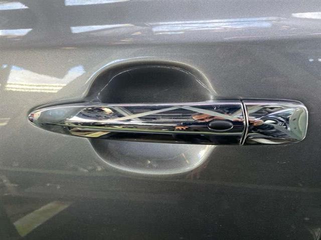 Lf Door Exterior Handle (smart Button) Type