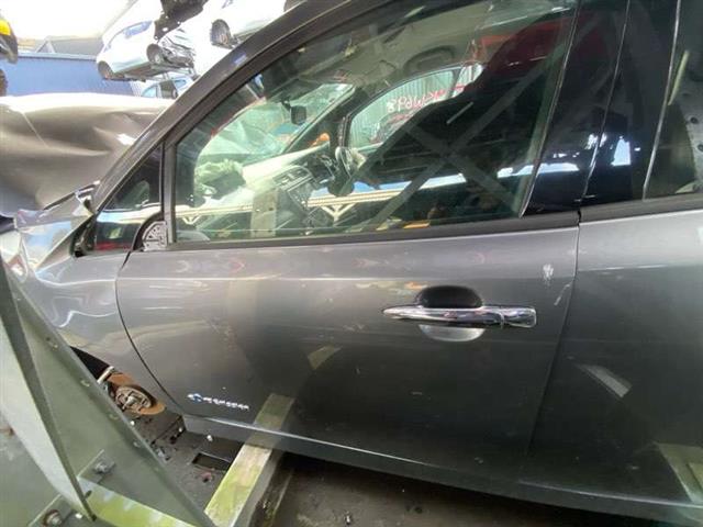 Lf Door Shell