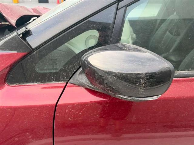 Lf Door Elec Mirror (14 Wire)