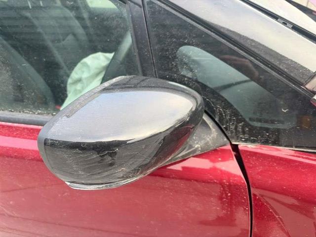 Rf Door Elec Mirror (14 Wire)