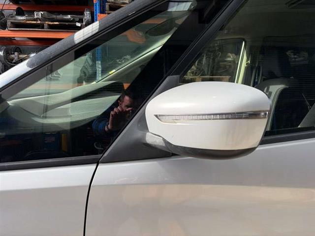 Lf Door Elec Mirror (7 Wire)